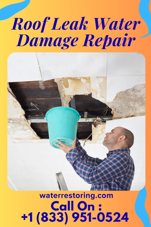 Roof Leak Water Damage Repair in Dade City, FL
